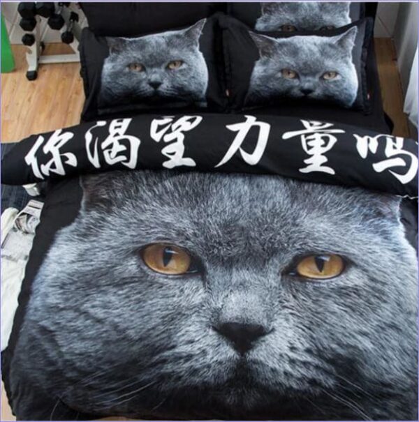 housse de couette chat British Shorthair