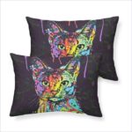 design graphique chat literie