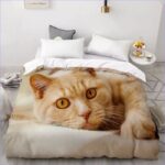 Housse de Couette Chat roux
